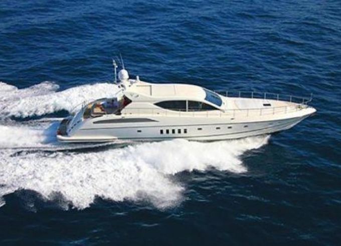 Arno Leopard Leopard 24