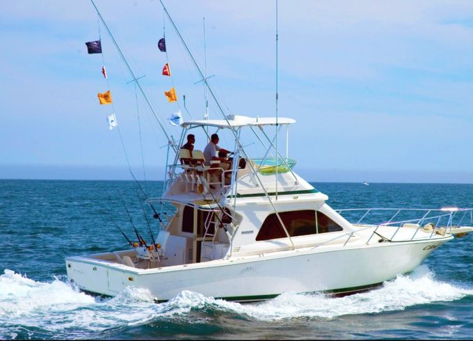 Bertram 42