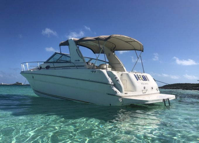 Sea Ray 290 Sundancer