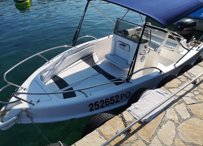 Bayliner Avanti