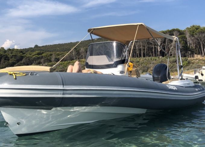 Salpa Soleil 23