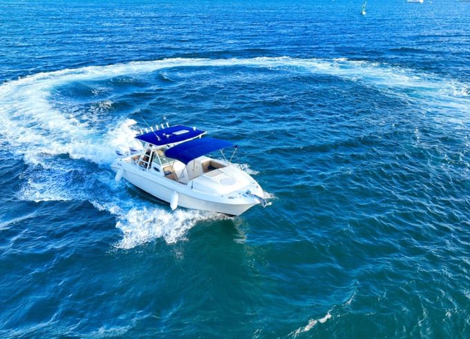 Wellcraft Scarab 30 Sport