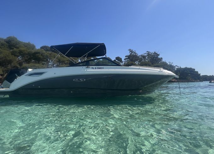 Sea Ray 250 sdx