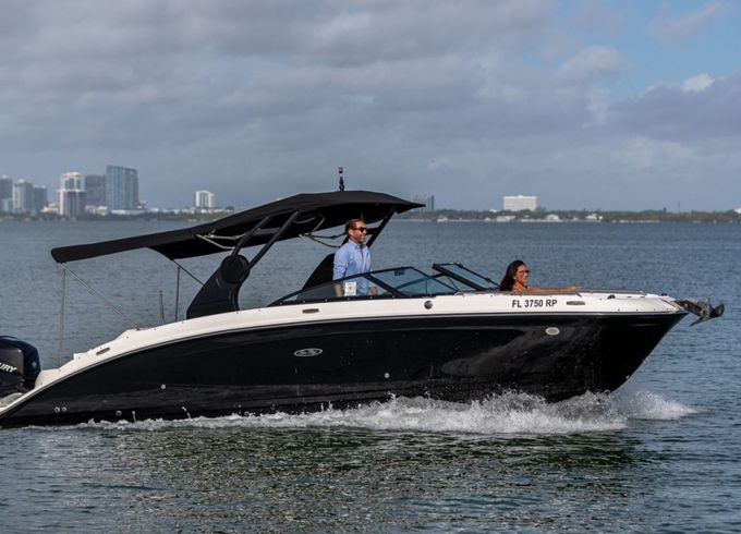 Sea Ray SDX