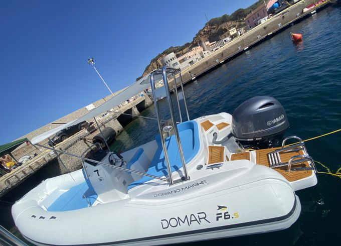 Domar F6.5