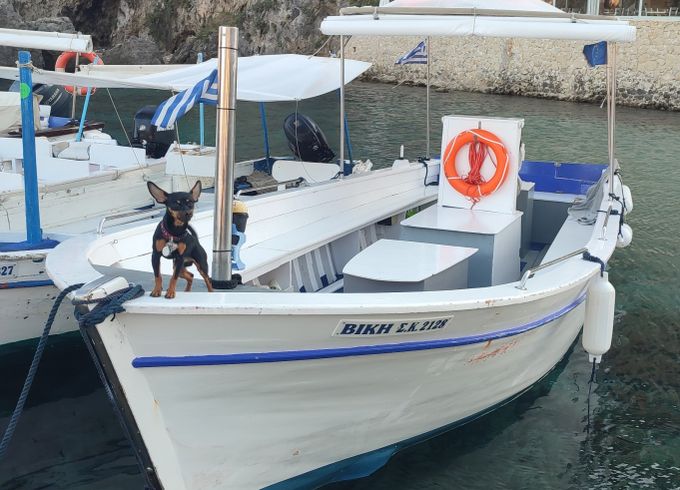 Wooden boat 7M