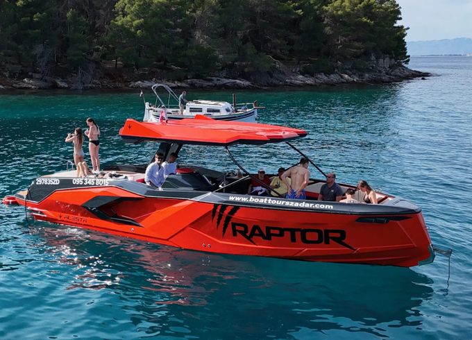 Alesta Raptor