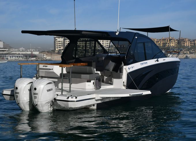 Yamaha FX HO