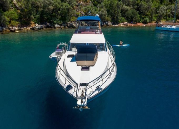 Neptune 550