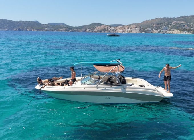 Sea Ray 260