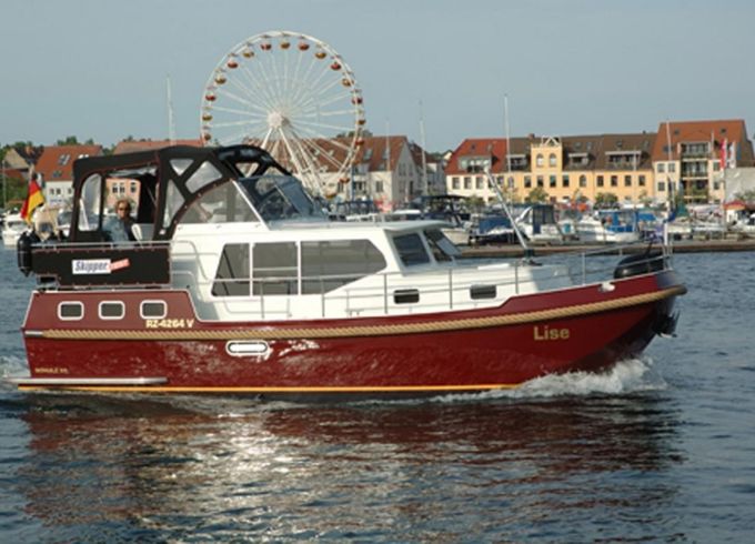 Schulz 33