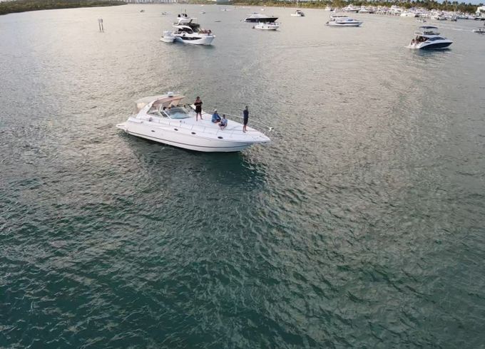 Cruisers 460