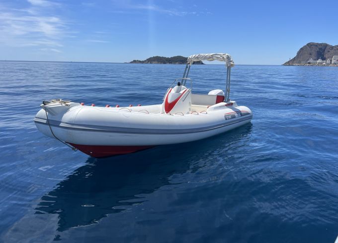 Selva Sport S.550