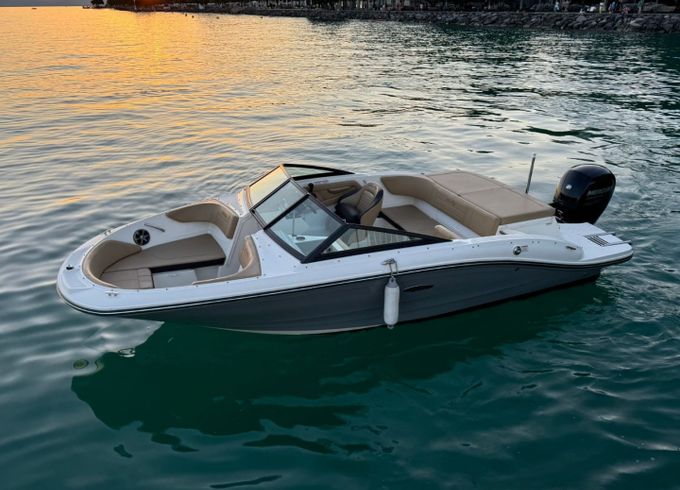 Sea Ray 190 SPX