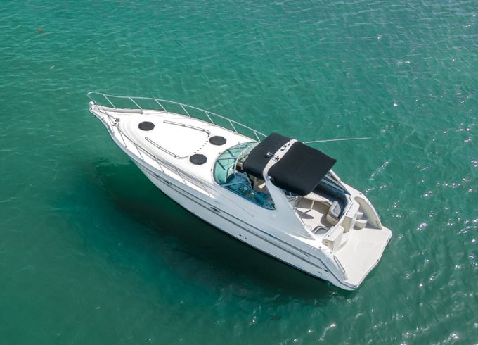 Maxum 38