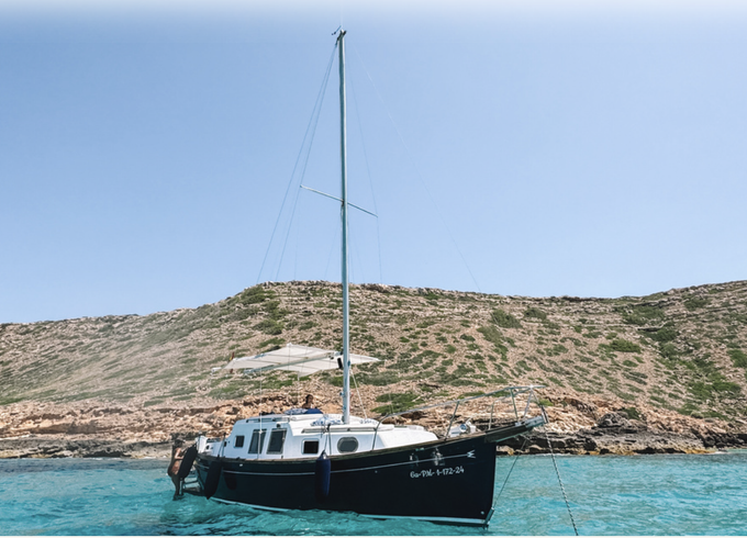 Myabca Delfin 28