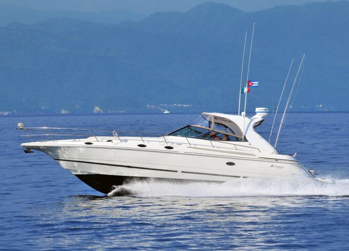 Cruisers 44