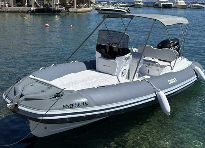 Salpa Soleil 20