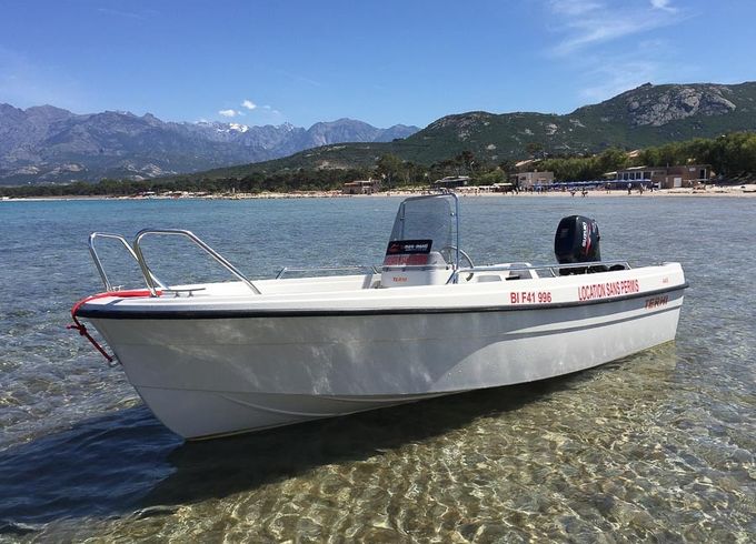 Terhi 445 C