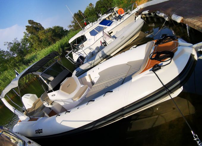 Salpa Soleil 26