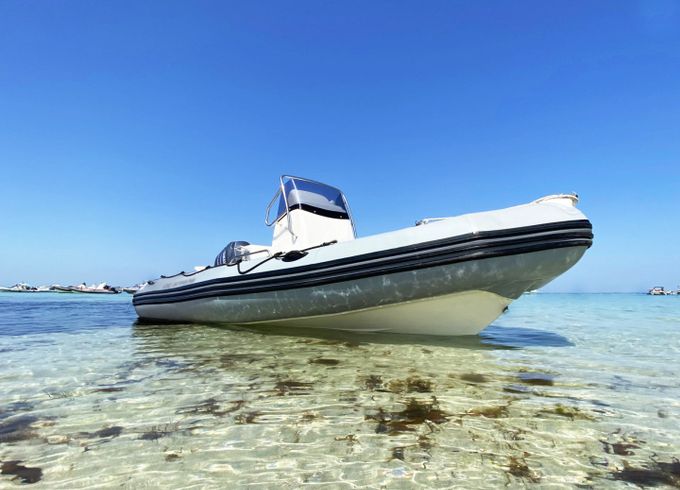 Zodiac Pro Open 550 Black Limited