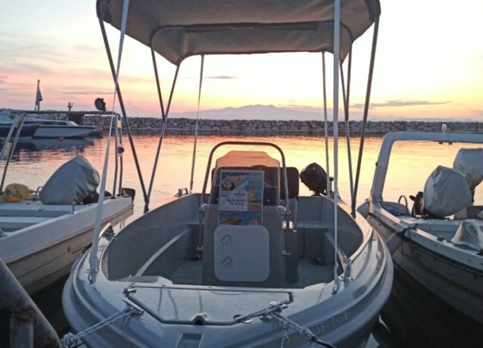 Parydor Y-45