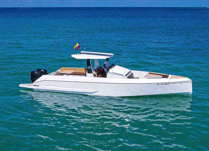 Custom Made Galea