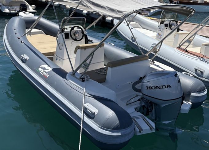 Predator 599