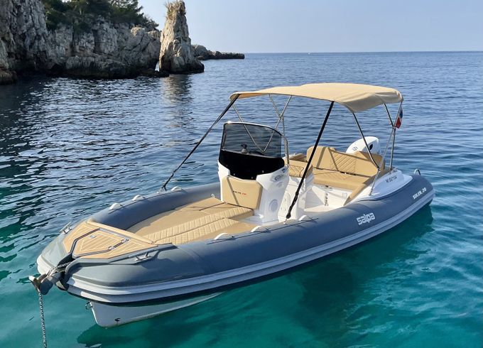 Salpa Soleil 20