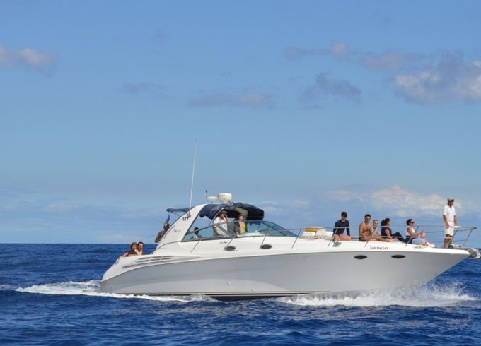Sea Ray 400 Sundancer