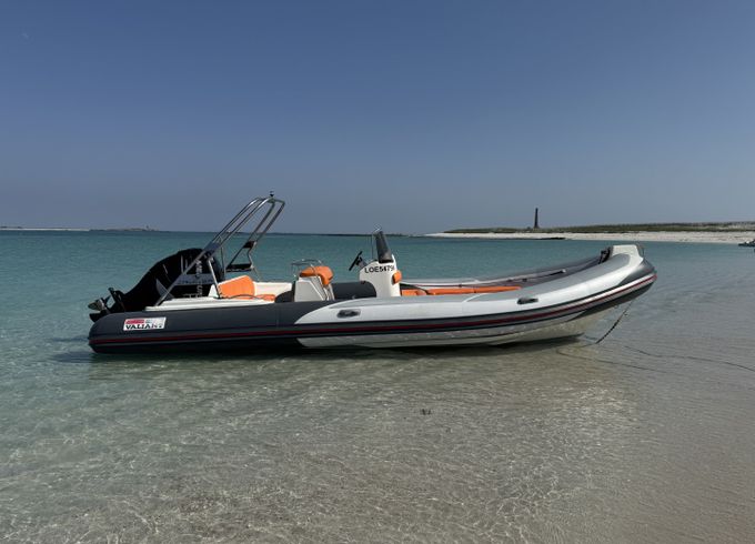 Valiant 750 Cruiser