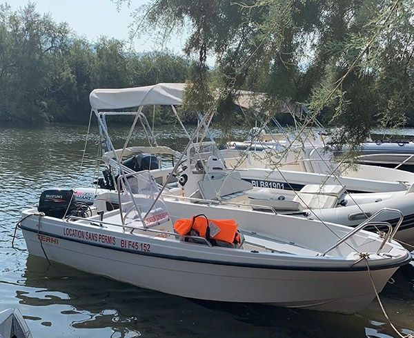Terhi 445 C