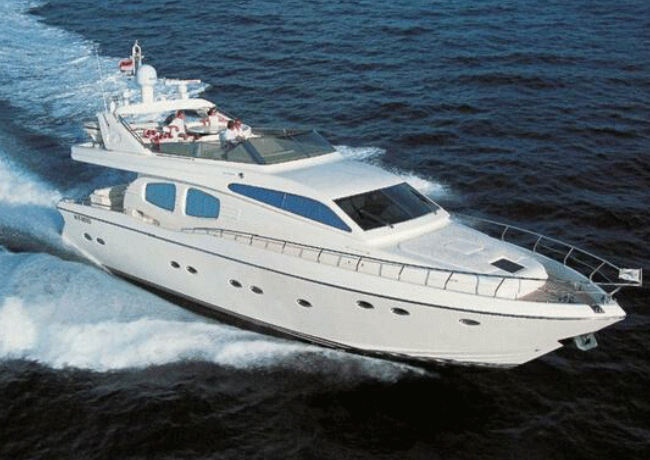 Technema 65