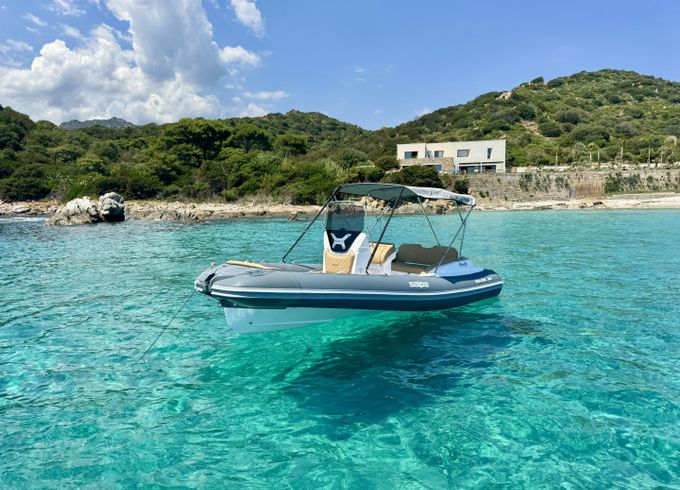 Salpa Soleil 18