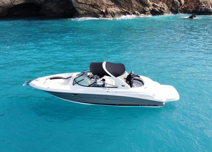 Sea Ray 295 Bow Rider