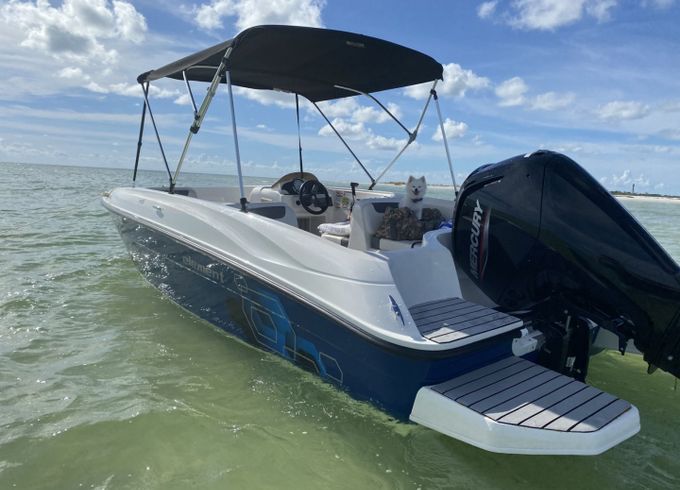 Bayliner Element