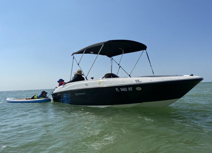 Bayliner Element