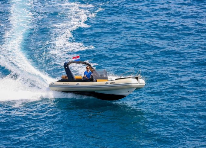Grginić Shark 23