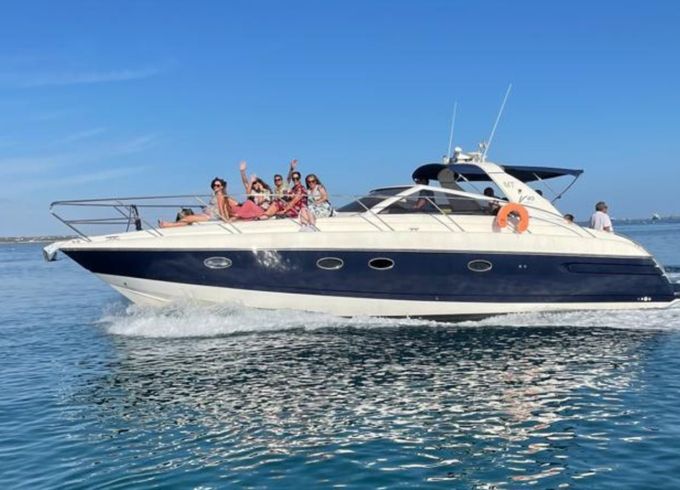 Princess V40