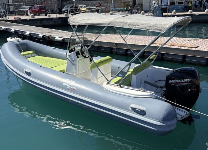 Predator 599