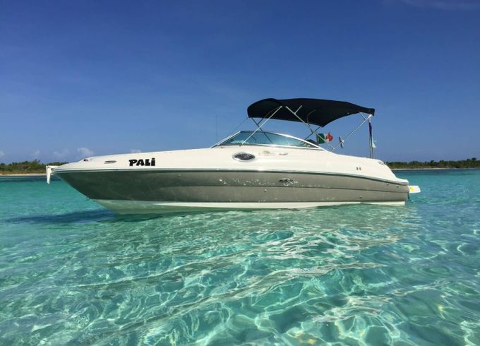 Sea Ray 240 Sundeck