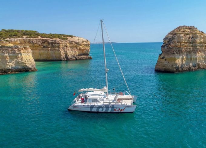 Catamaran Custom