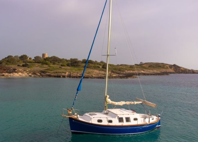 Myabca Delfin 28