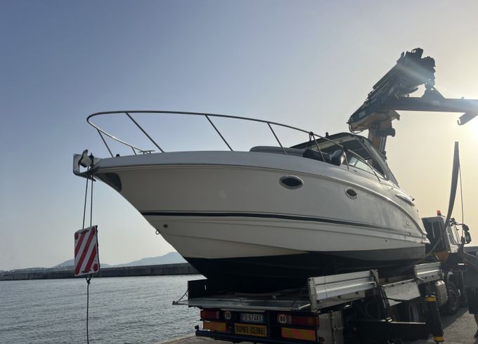 Chaparral Signature 29