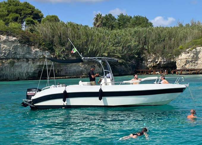Dolphin 25
