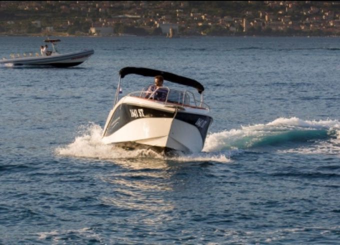 Barracuda 545