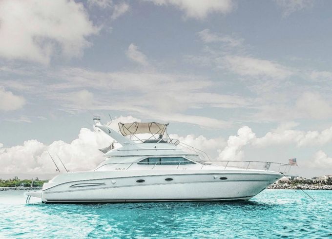 Sea Ray 51'