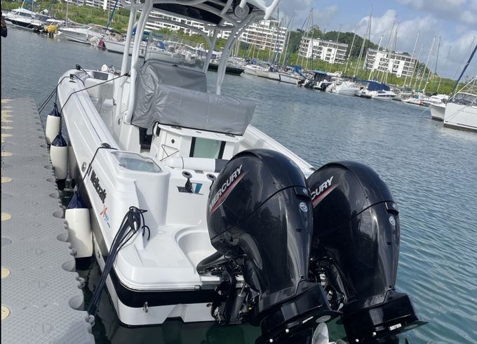 Wellcraft Fisherman 242