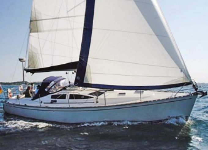 Delphia 40.4