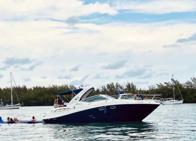 Sea Ray 32'